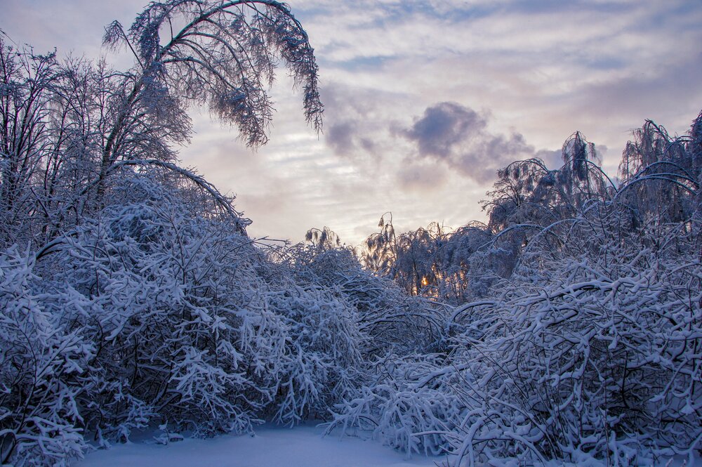 Photo #13788524