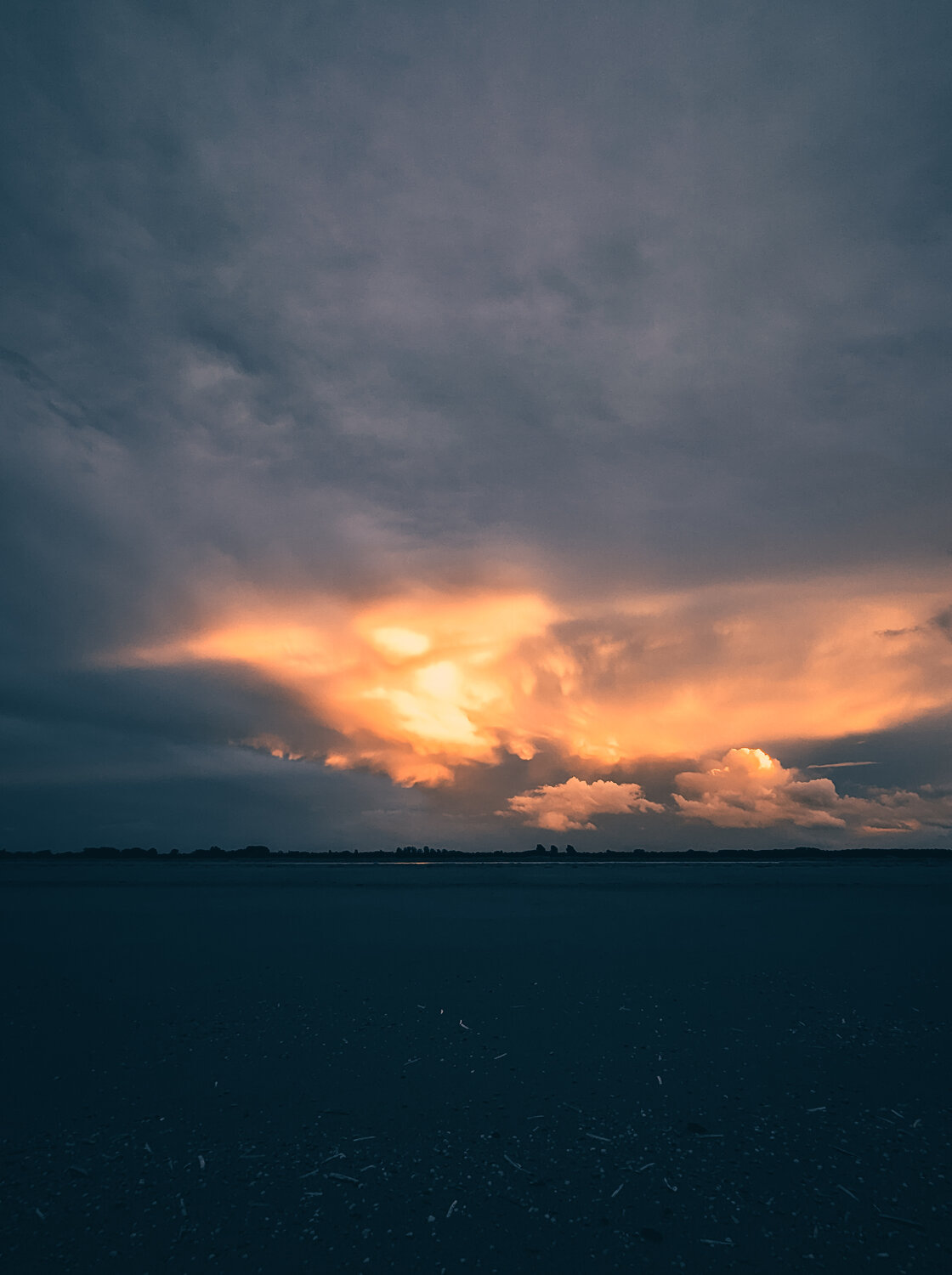 Photo #13788540