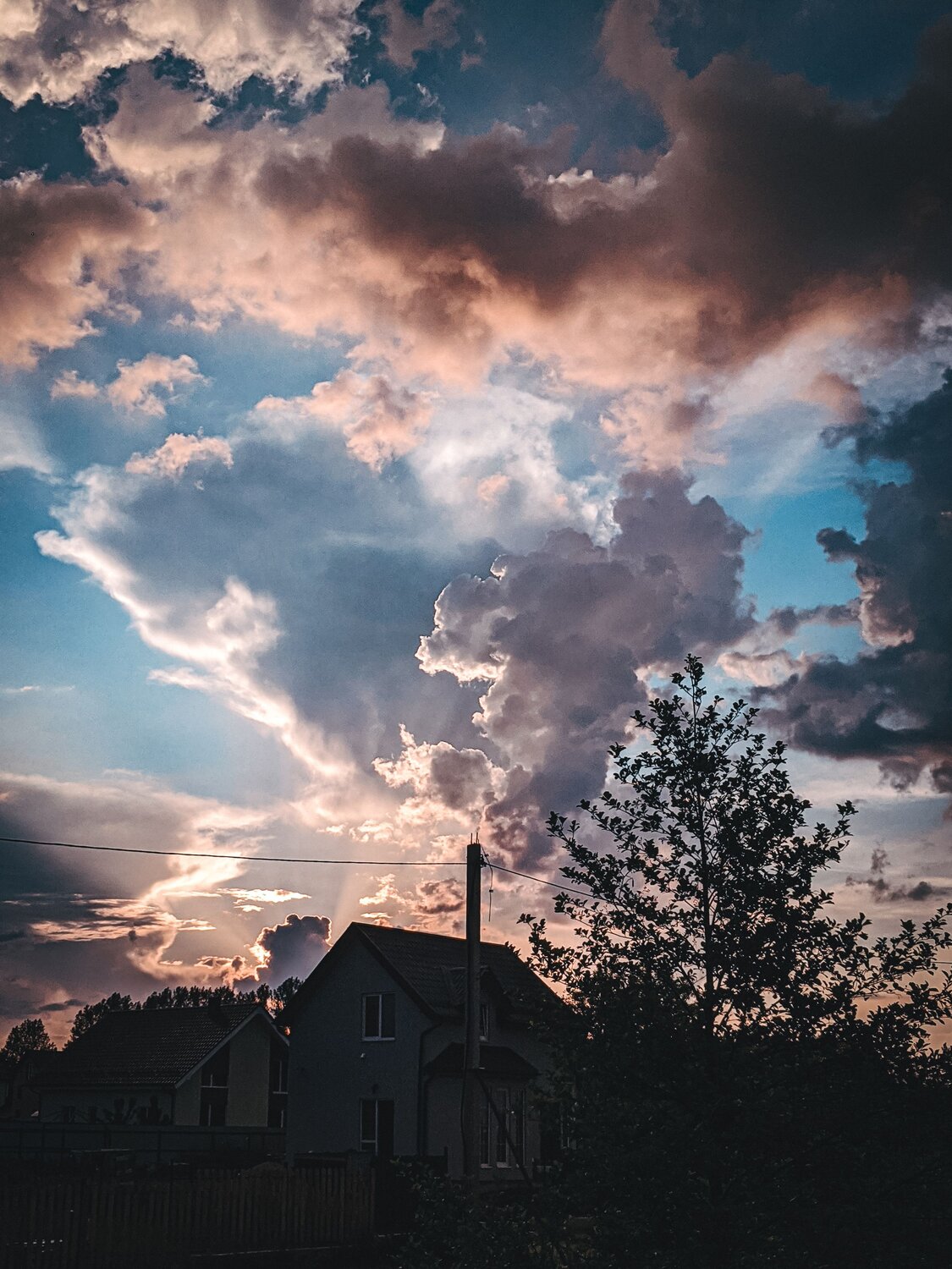 Photo #13788545