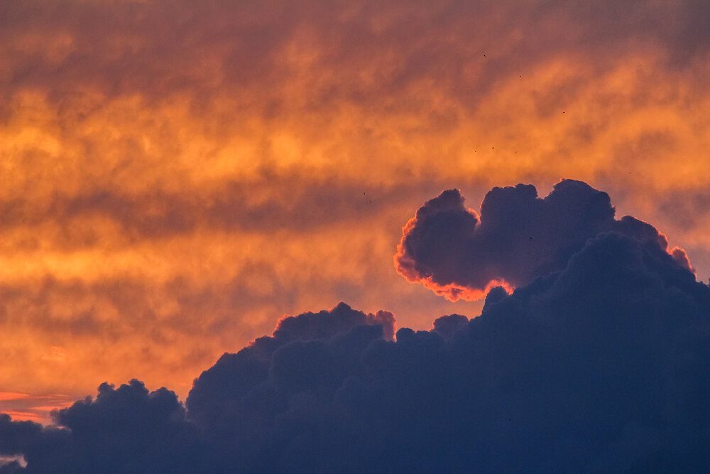 Photograph by Юлия Крюкова