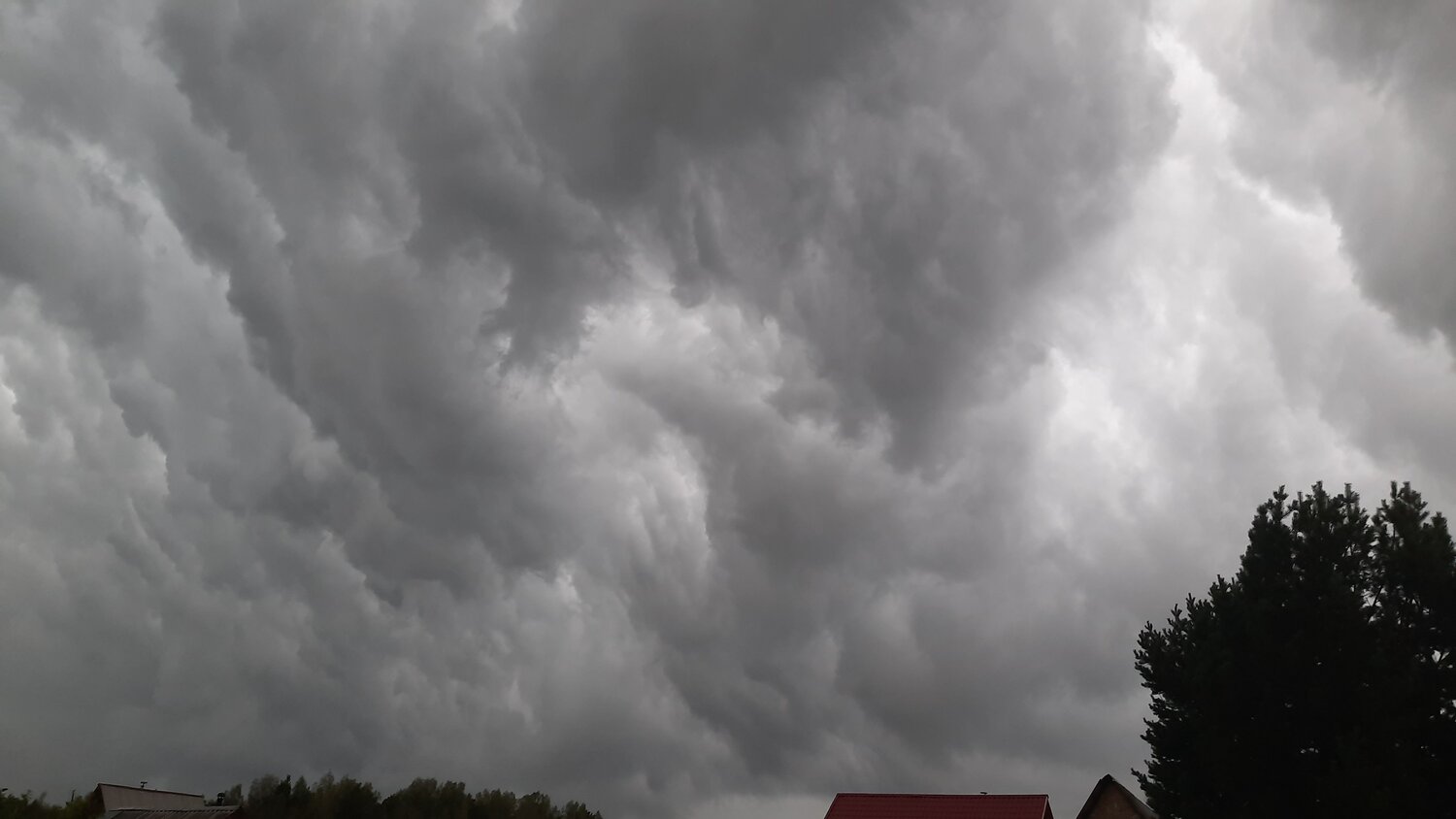 Photo #13788564