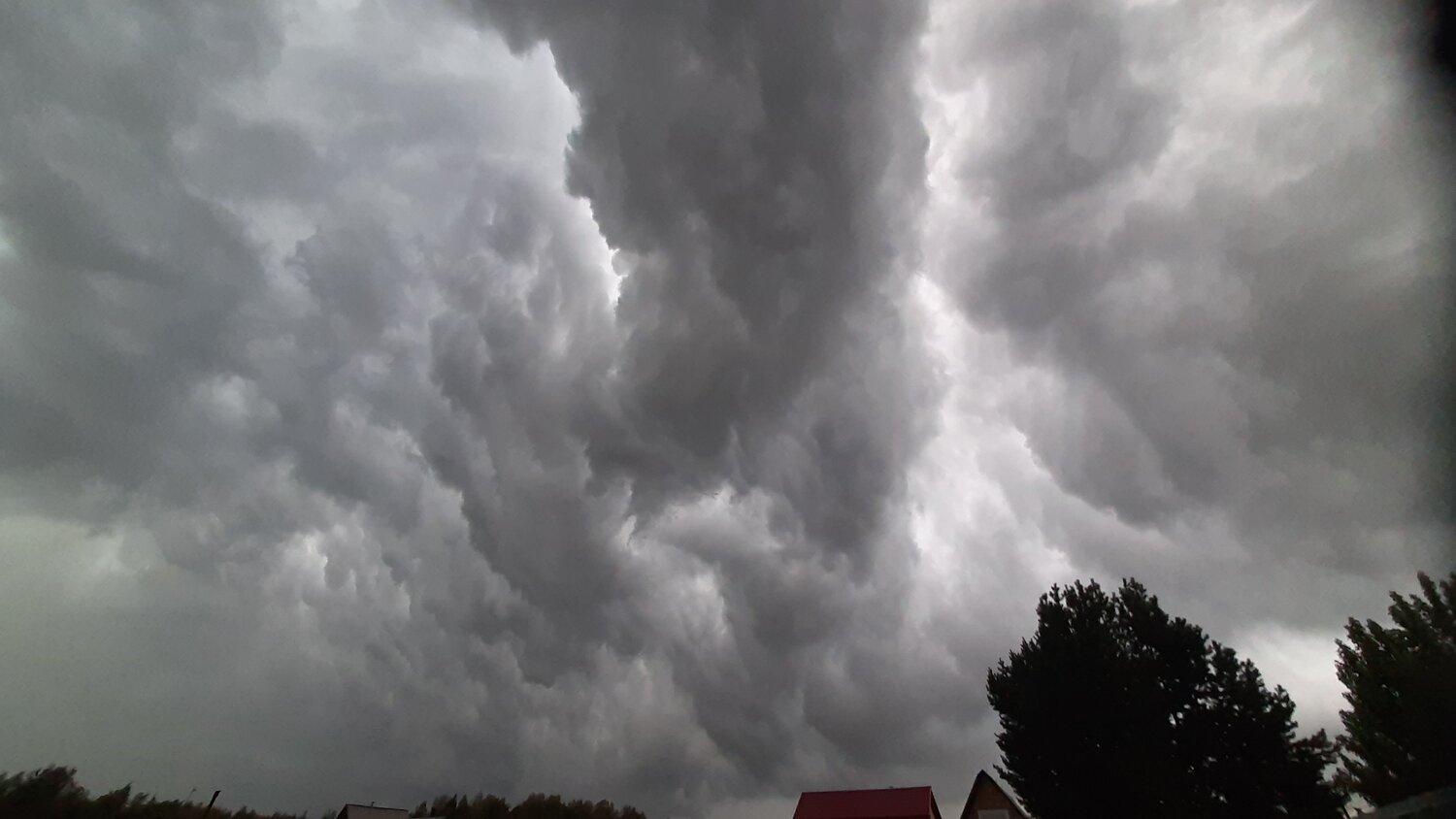 Photo #13788565