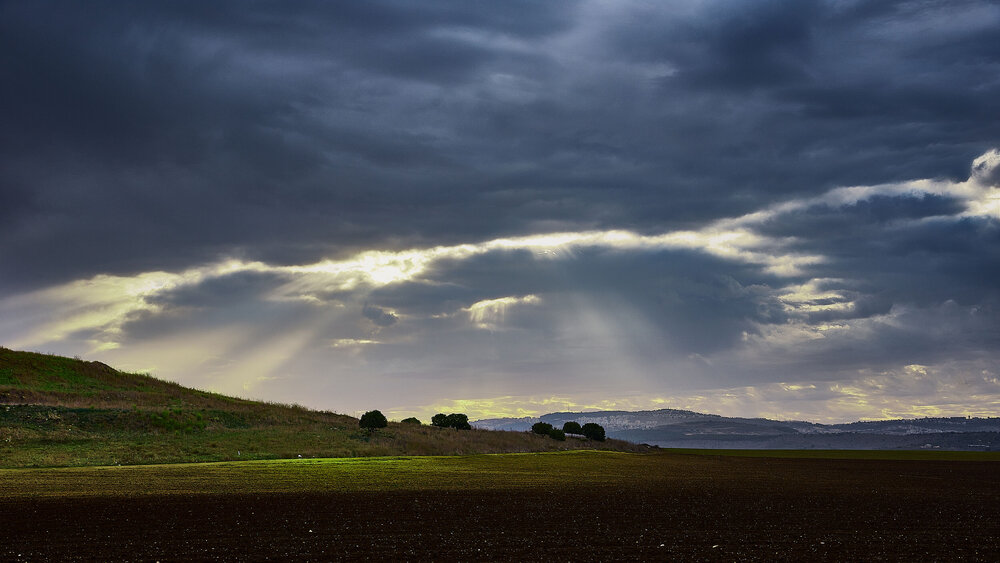 Photograph by Alexander Leshinsky