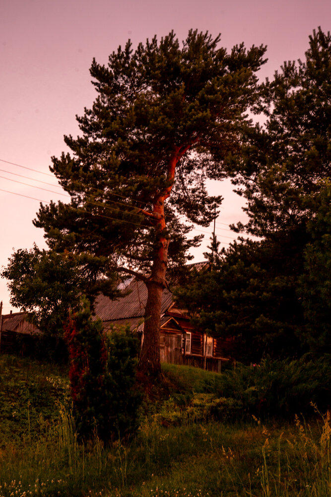 Photo #13788767