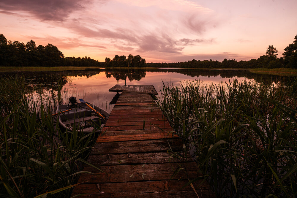 Photo #13788864