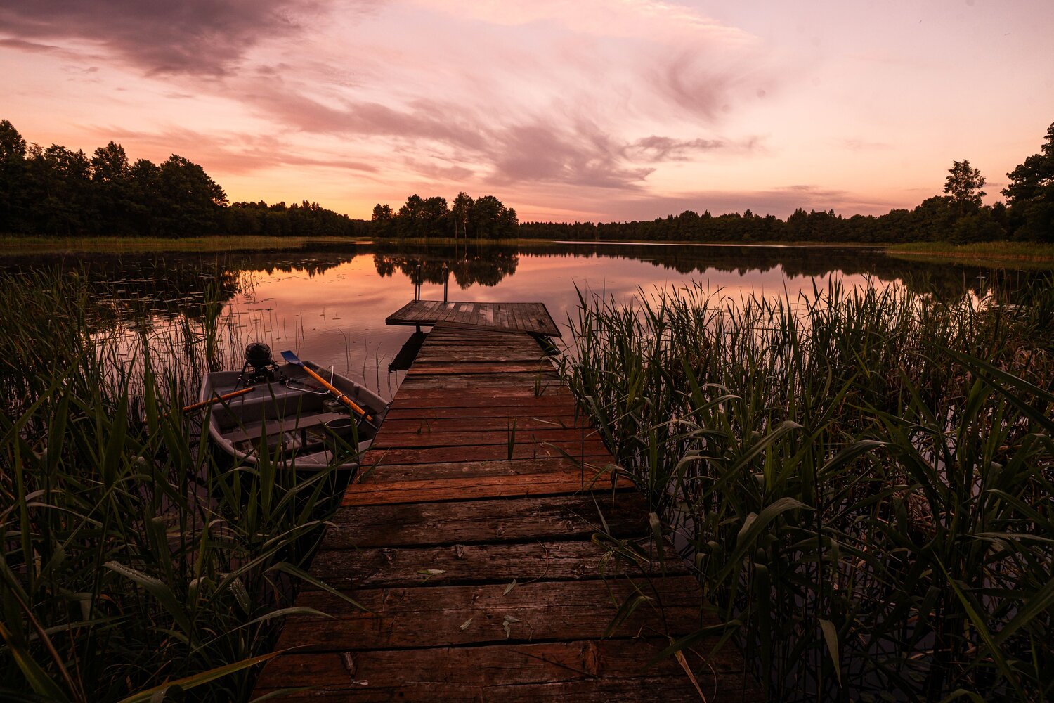 Photo #13788864