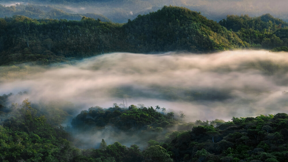 Photograph by Yainyt Alcazar Delgado