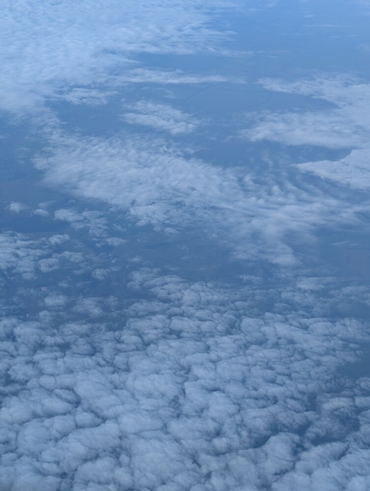 Photo #13789005