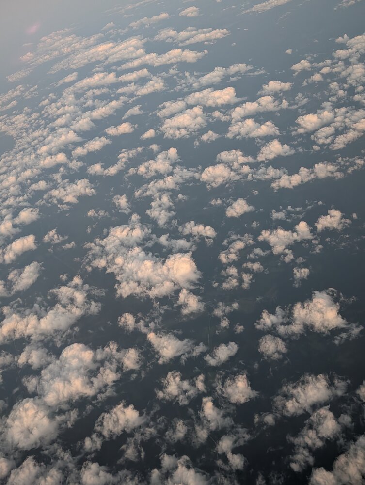 Photo #13789007