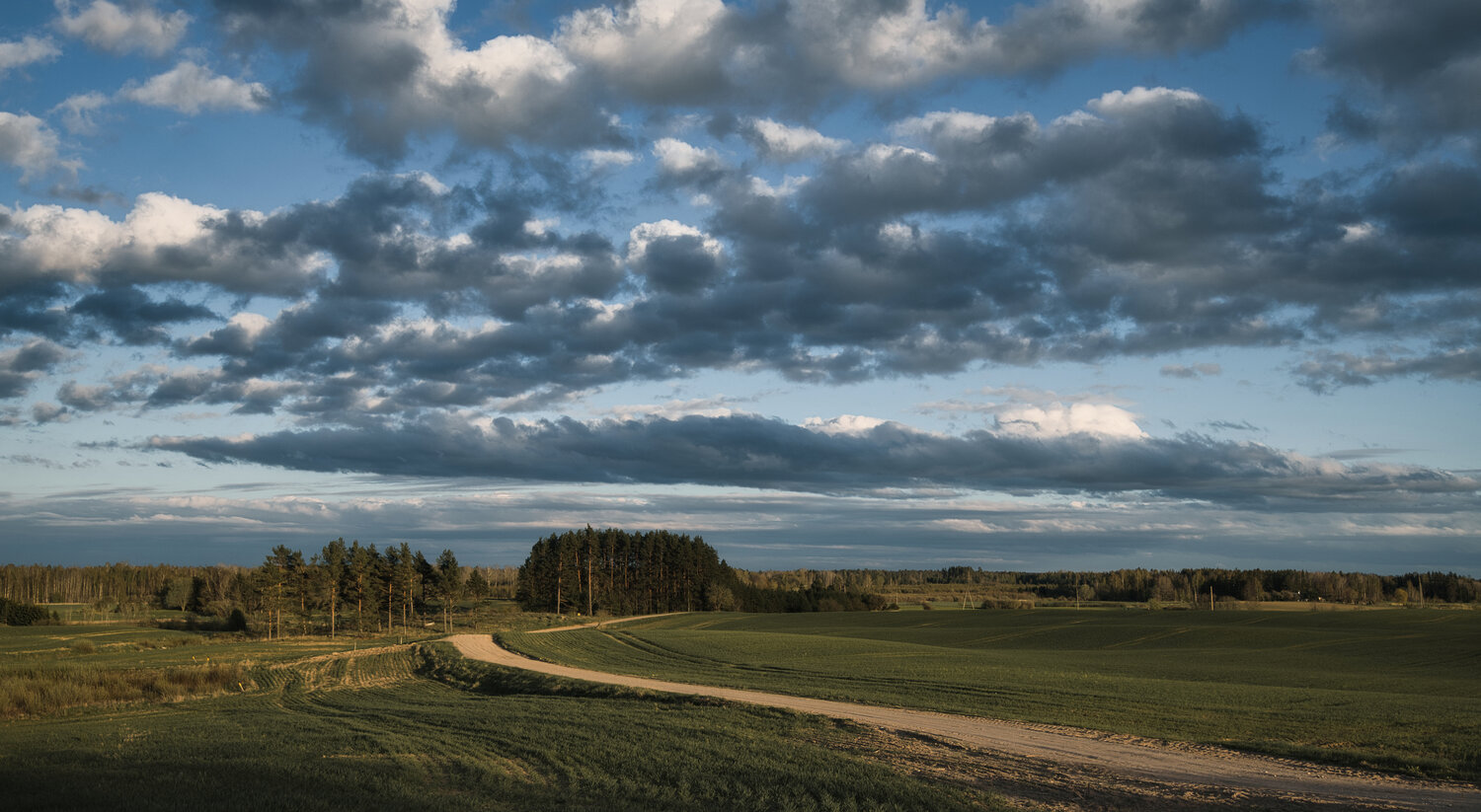Photo #13789016