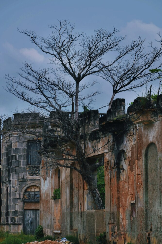 Photograph by Yainyt Alcazar Delgado