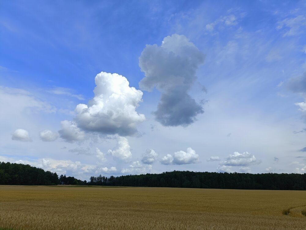 Photograph by Татьяна Антонова