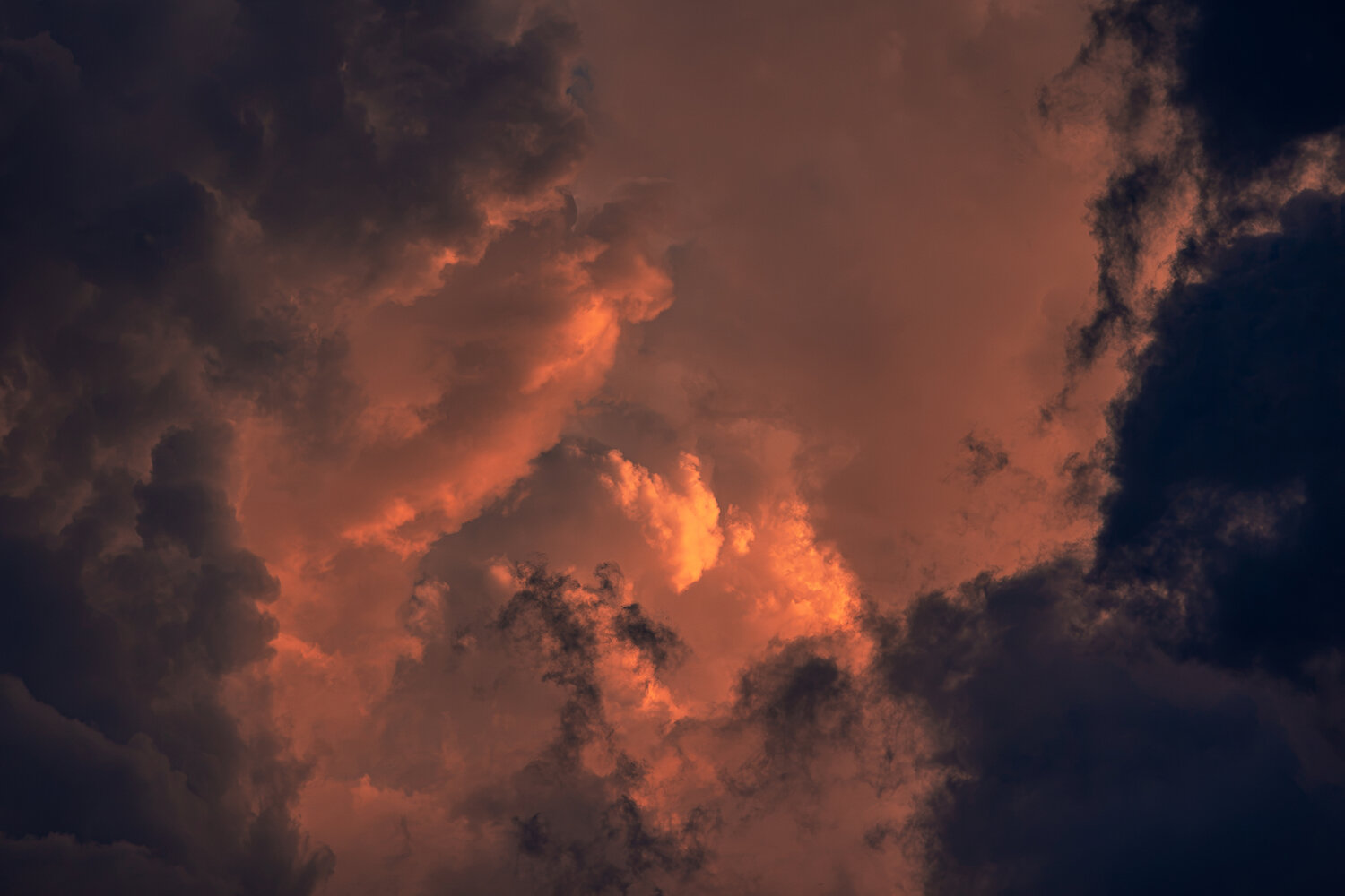 Photo #13789131