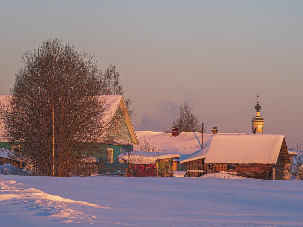 Photo #13789138