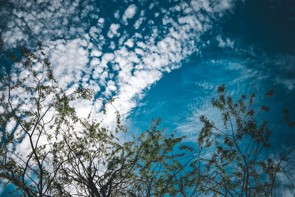Photograph by Катерина Сорокина