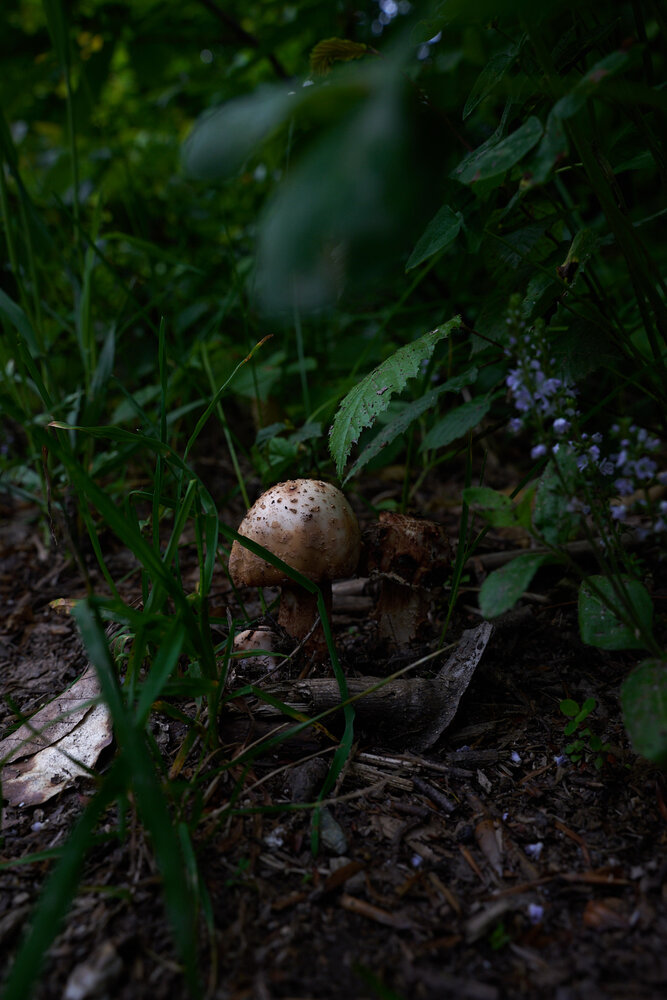 Photograph by Вероника Крюкова