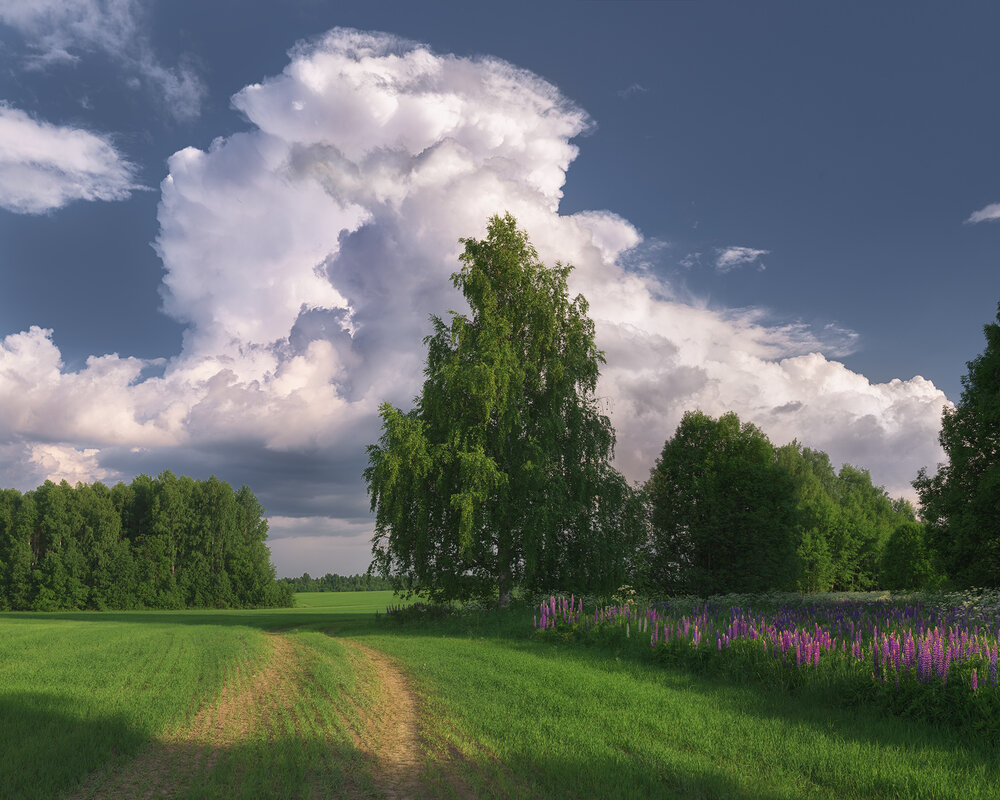 Photograph by Медянцев Дмитрий