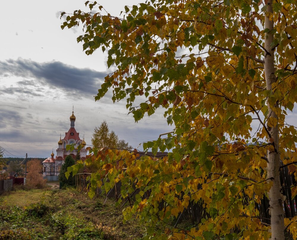 Photo #13789283