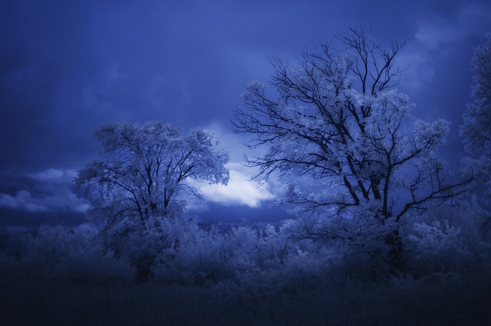 Photograph by Steve Shelby