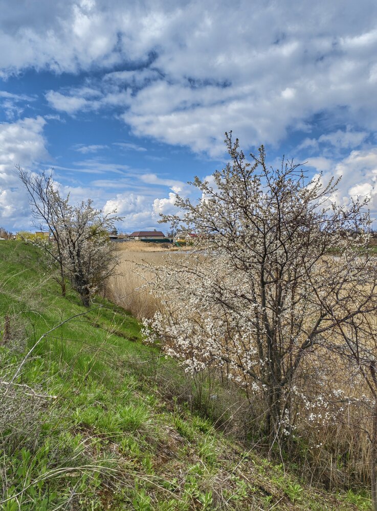 Photograph by Ульяна Кузьмина