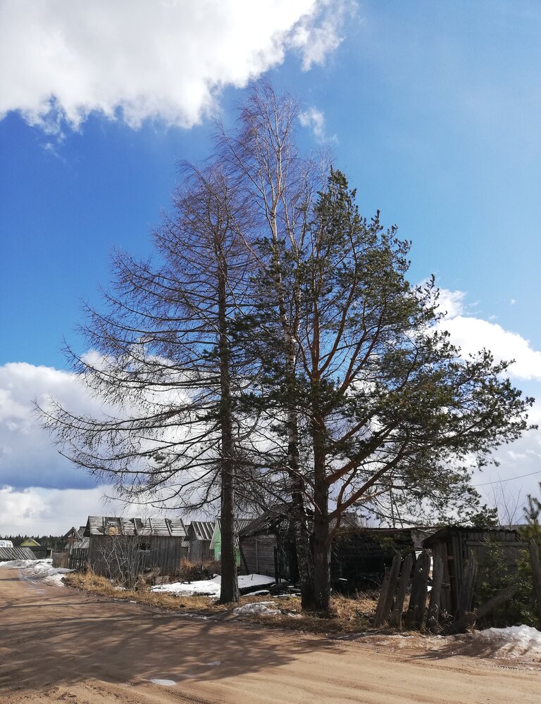 Photograph by Ульяна Кузьмина