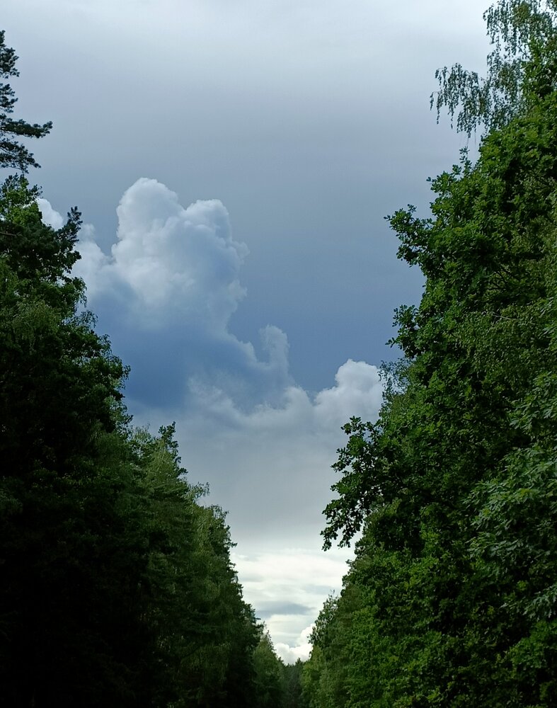 Photograph by Татьяна Антонова