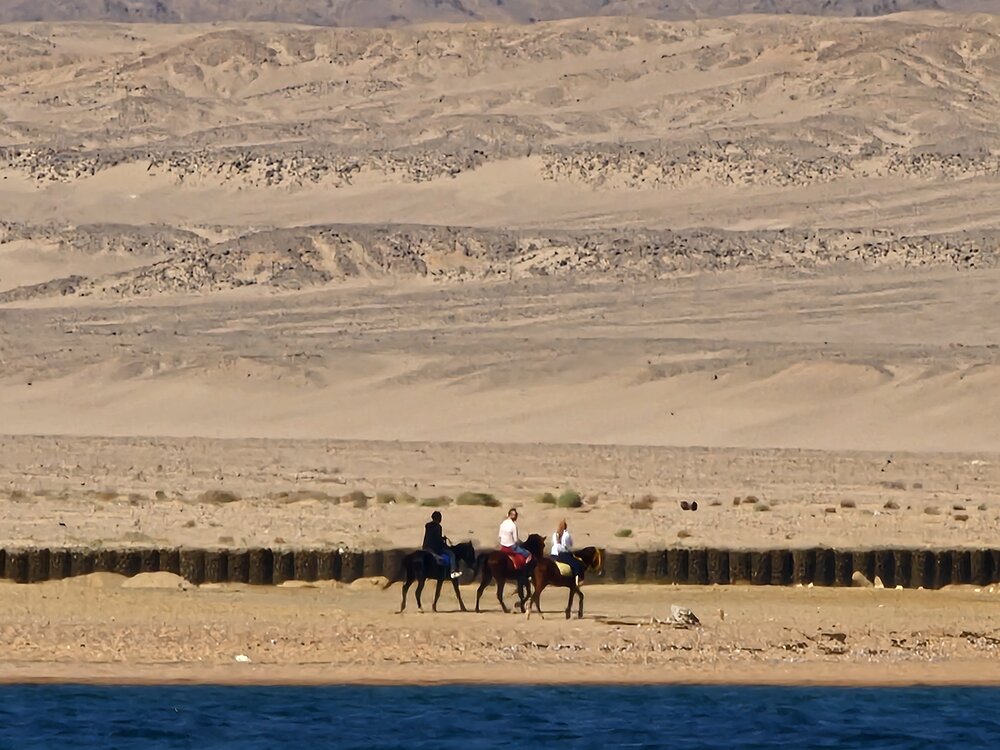 Near Sharm El Sheikh. Horseback riding.