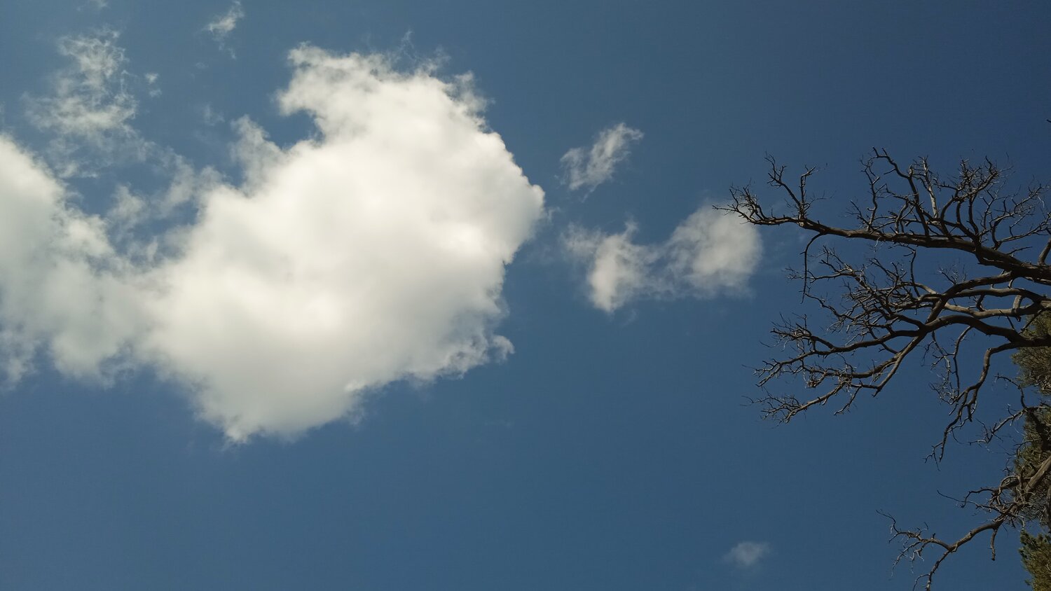 Photo #13789508