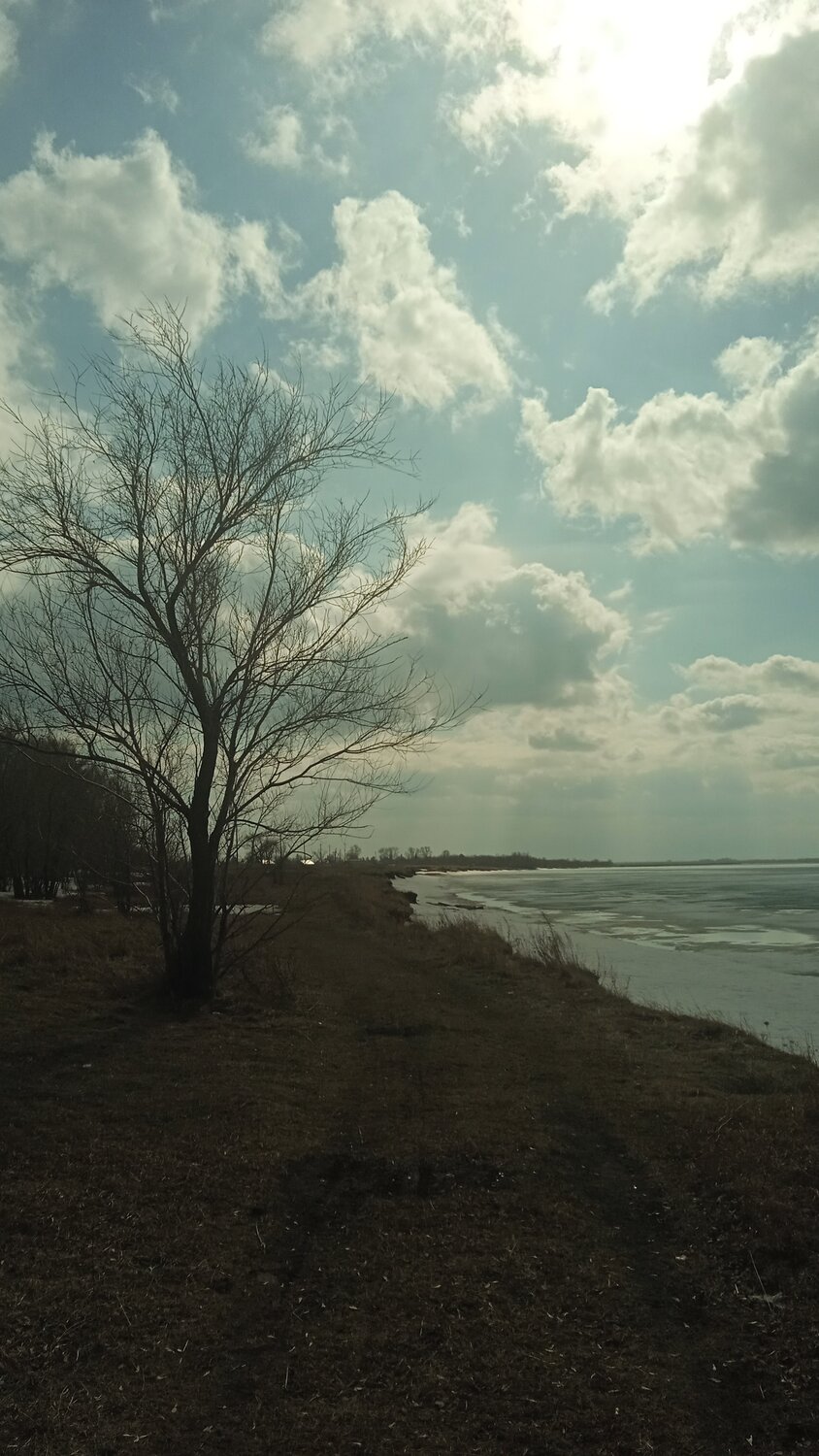 Photo #13789509