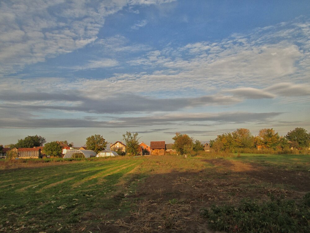 Photo #13789528