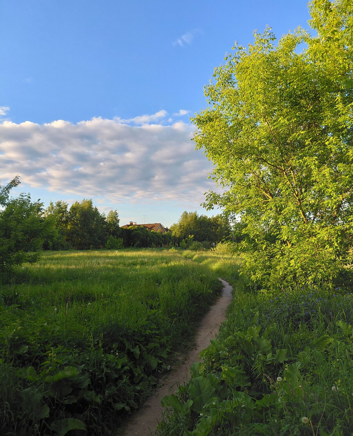 Фотография #13789575