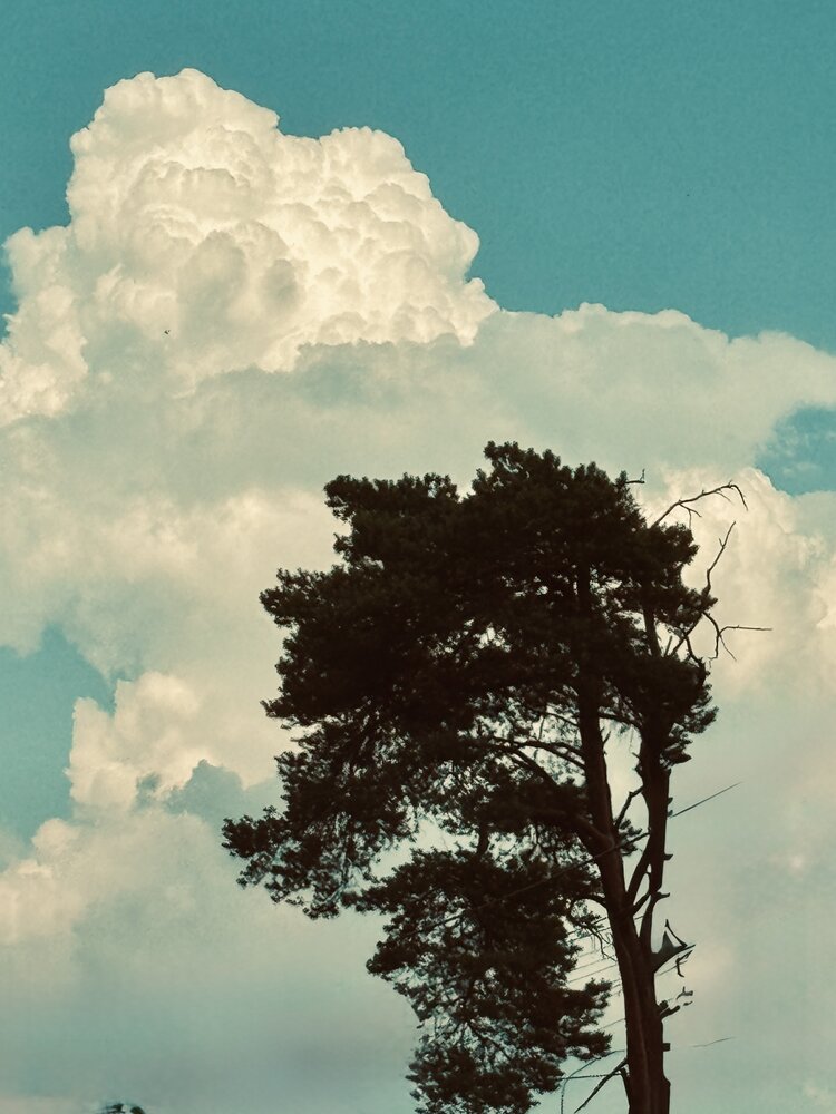 Фотография автора Дарья Самойленко