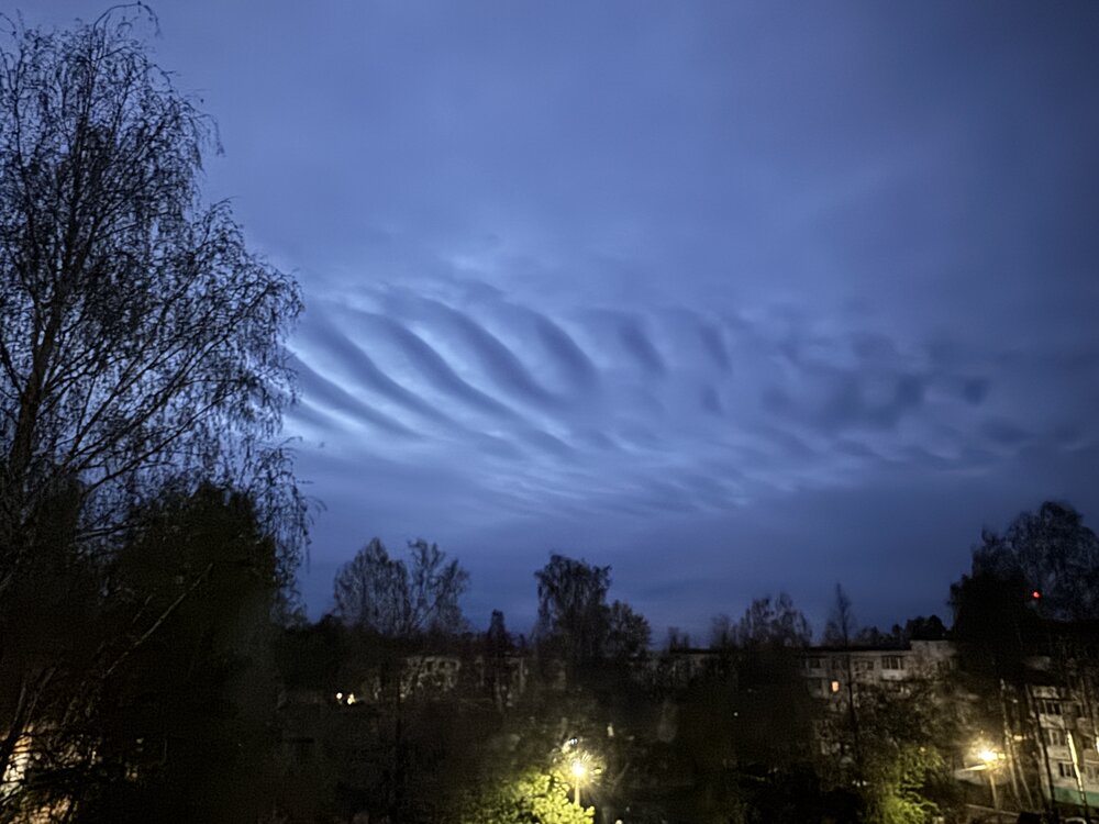 Фотография автора Дарья Самойленко