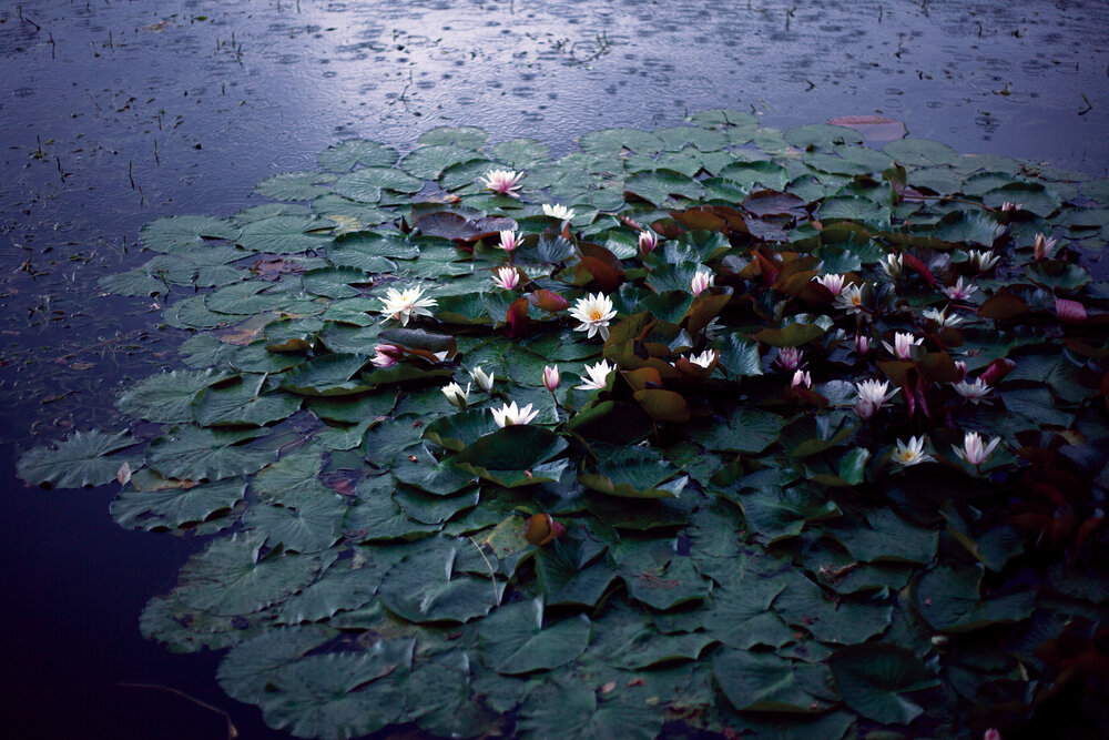 Photograph by Виталий Хавхун