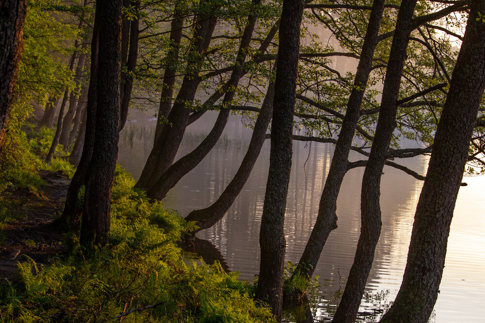 Photograph by Olya Slabada