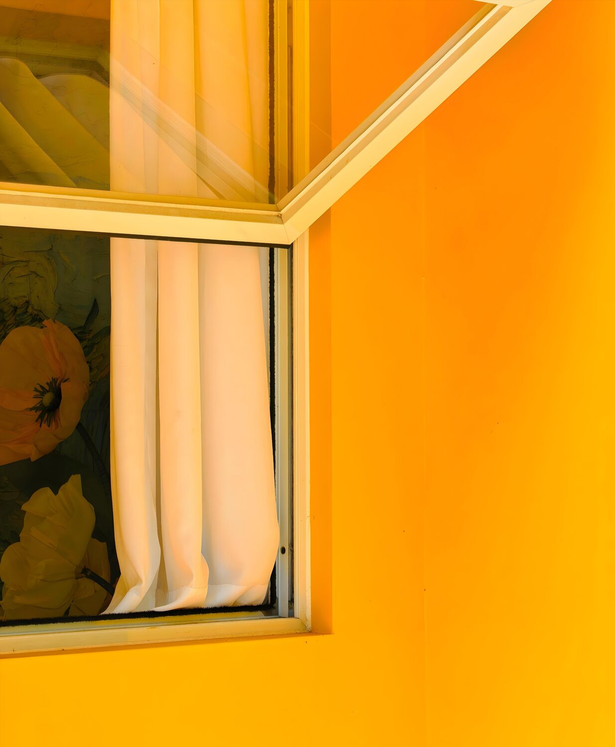Amber Window