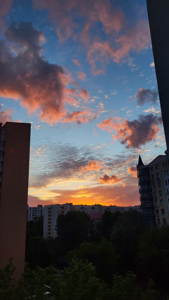 Photo #13789854