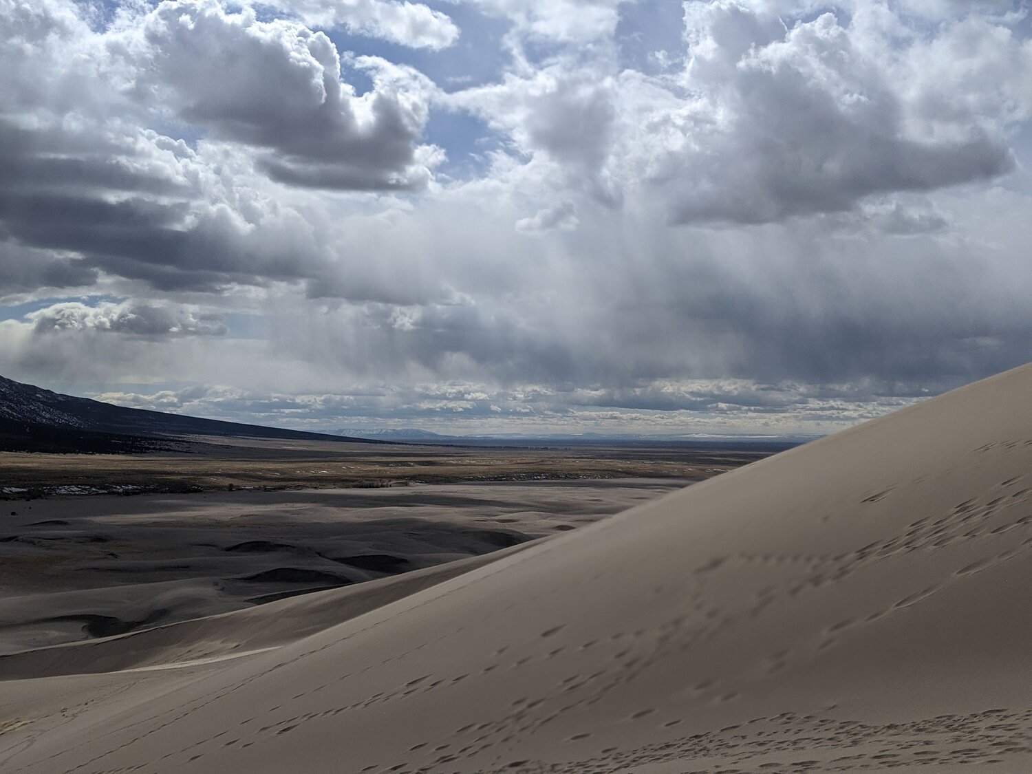 Photo #13789873