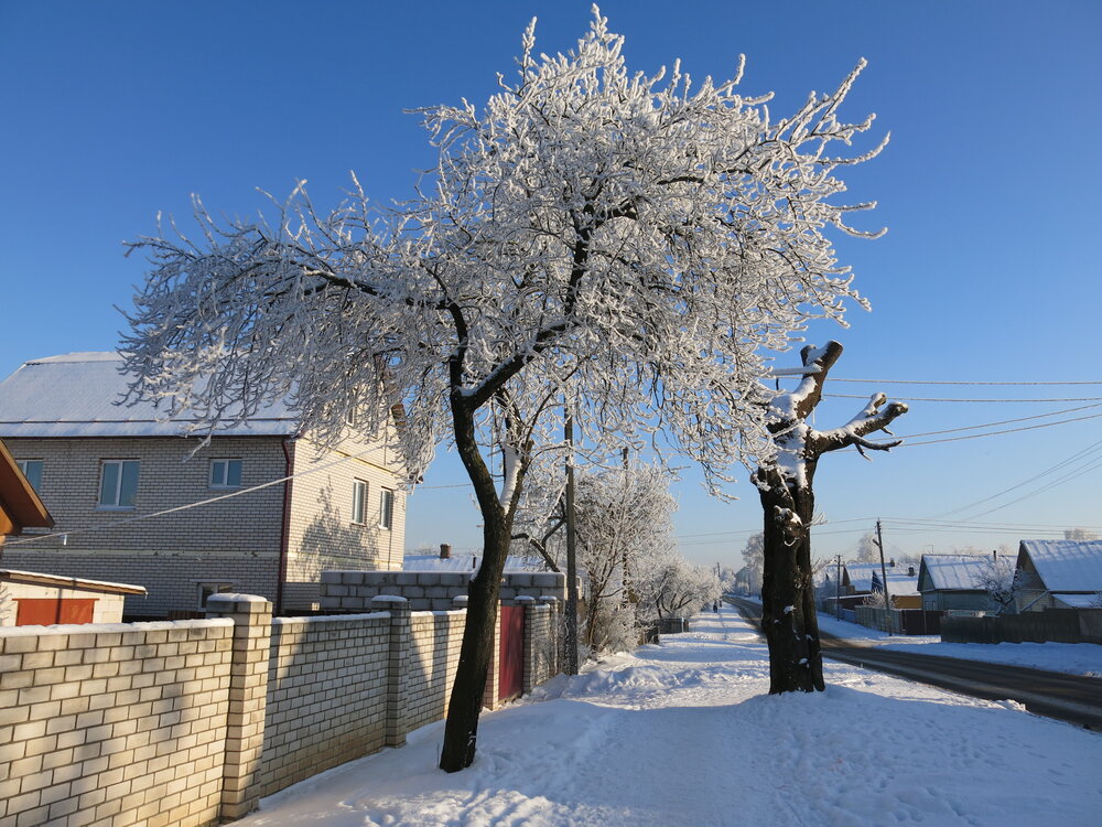 Photograph by ЭЛЬМИРА  ИСМАИЛОВА
