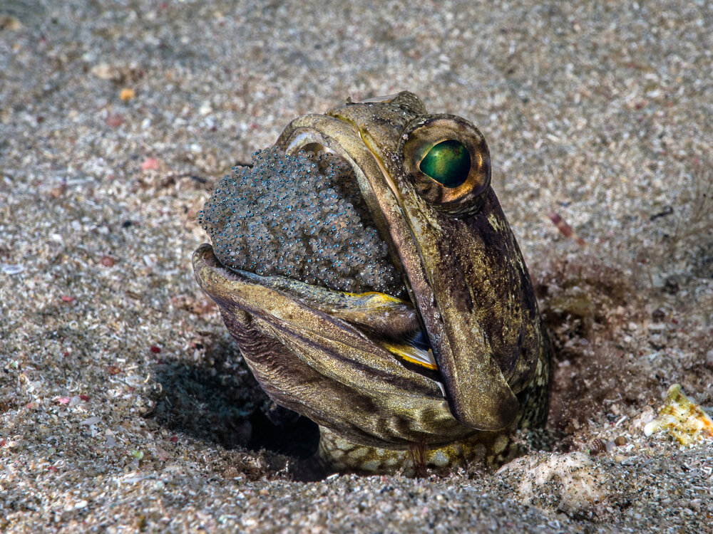 Photograph by Abimael Marquez