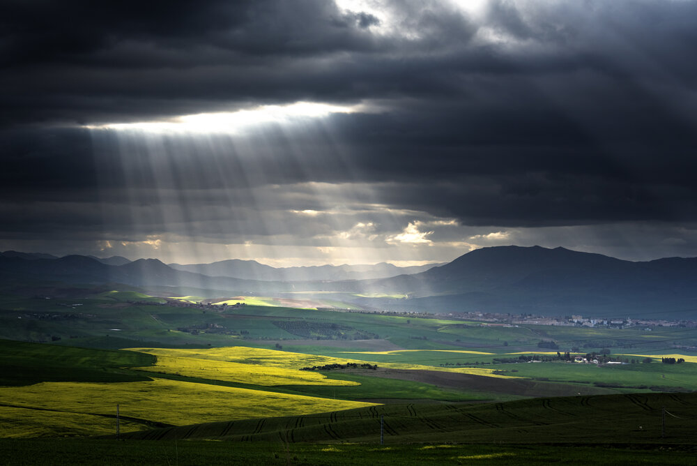 Photograph by Noureddine Belfethi