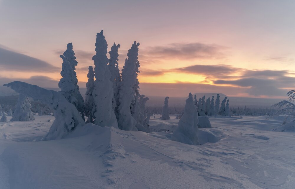 Photograph by Ватрушкин Максим