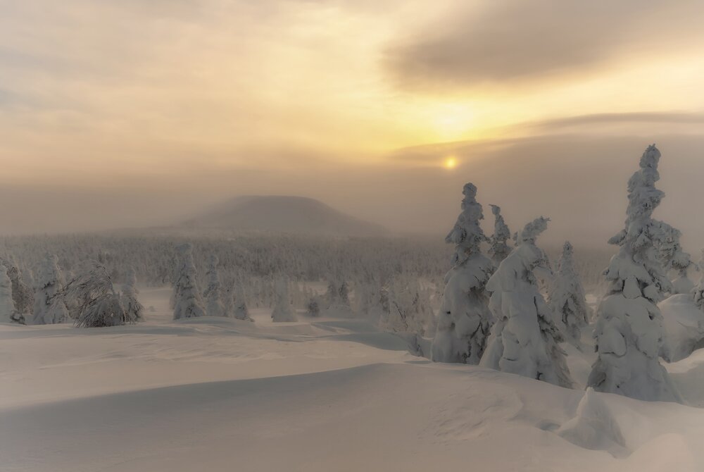 Photograph by Ватрушкин Максим