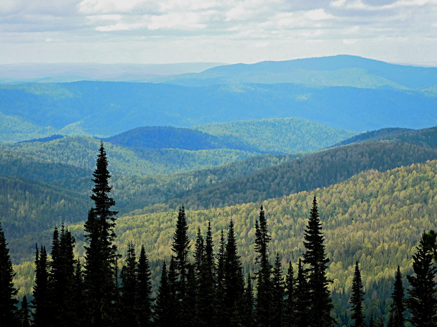 Photo #13789962