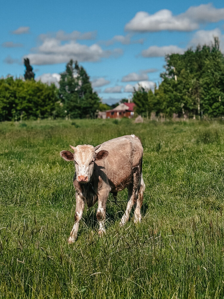 Photograph by Юлия Куклина