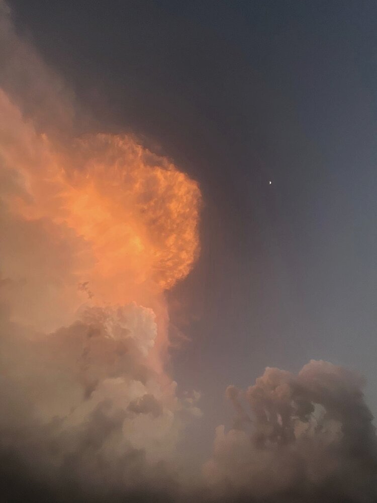 Photograph by Premal Nandpal