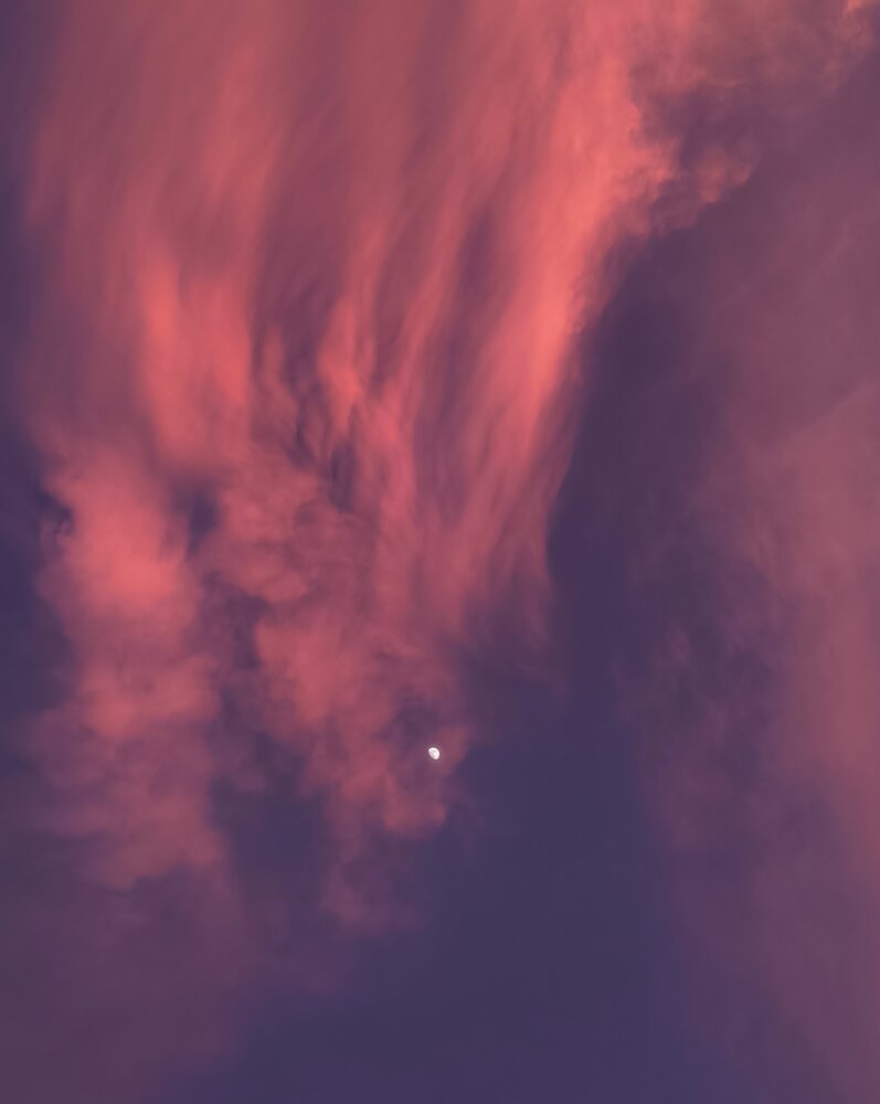 Photograph by Premal Nandpal