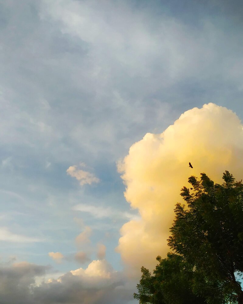 Photograph by Premal Nandpal