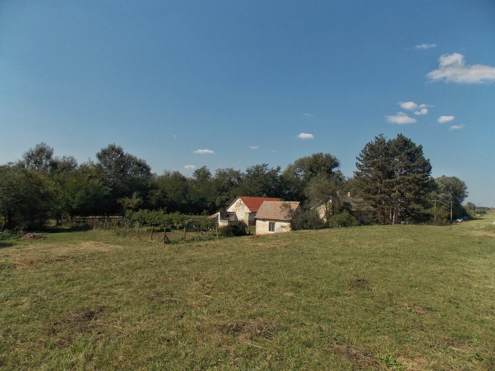Photograph by Dragoslav Macanović