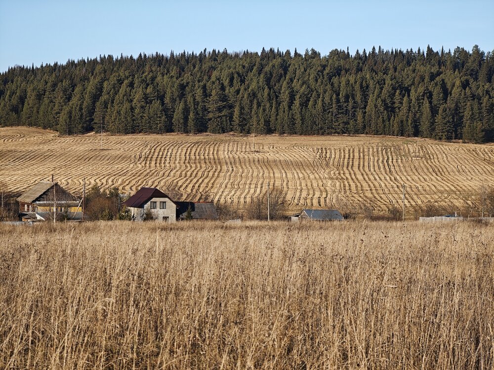 Photo #13790066